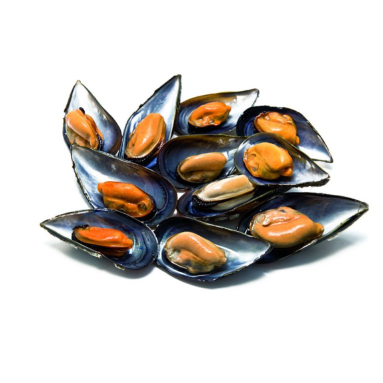 Mejillon Entero (1 Kg) WOFCO GALICIA - Imagen 1