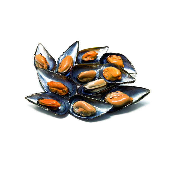 Mejillon Entero (1 Kg) WOFCO GALICIA - Imagen 1